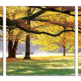 Posters Obraz Podzimní stromy v parku.jpg
