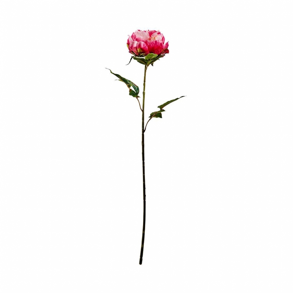 FLORISTA Pivoňka 75 cm - růžová