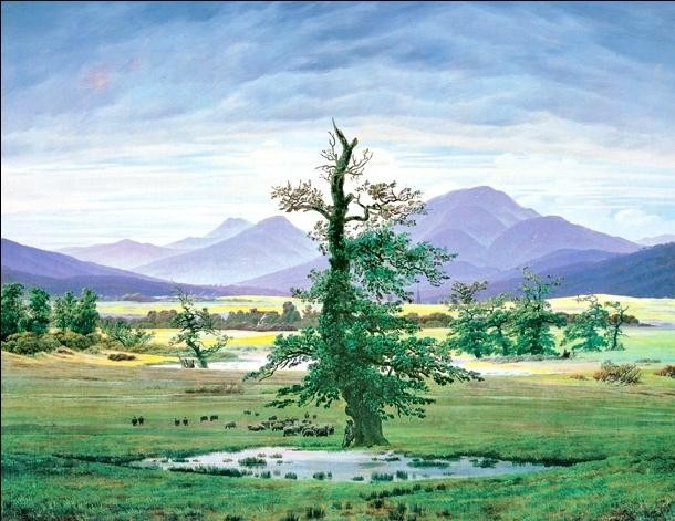 Posters Reprodukce Caspar David Friedrich - Osamělý strom, 1822, (80 x 60 cm)