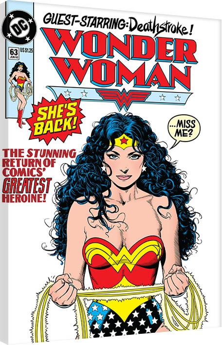 Posters Obraz na plátně DC Comics - Wonder Woman - She's Back, (60 x 80 cm)