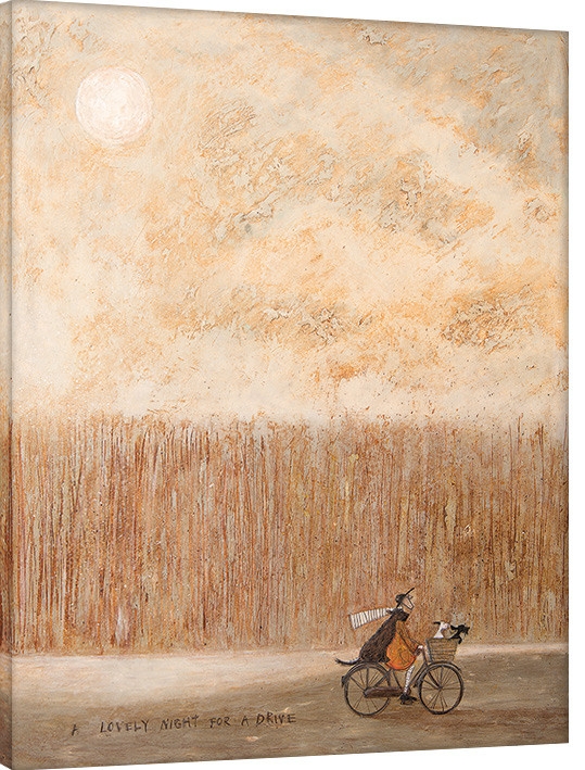 Posters Obraz na plátně Sam Toft - A Lovely Night for a Drive, (40 x 50 cm)