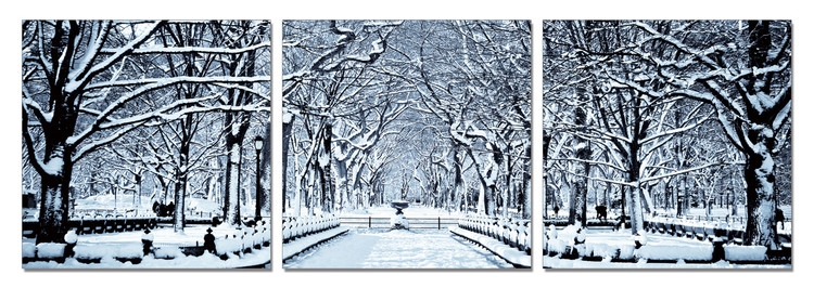 Posters Obraz na zeď - Zasněžený park, (150 x 50 cm)