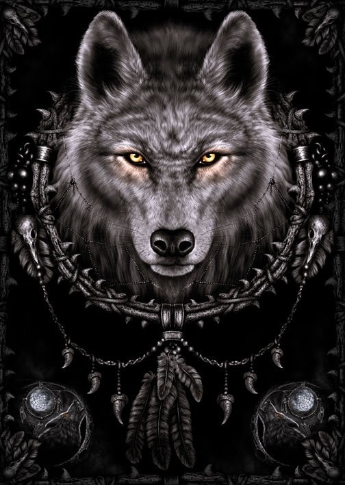 Posters Plakát, Obraz - Spiral - wolf dreams, (61 x 91,5 cm)