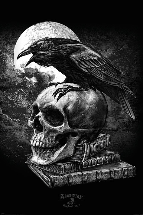 Posters Plakát, Obraz - Alchemy - Poe's Raven, (61 x 91,5 cm)