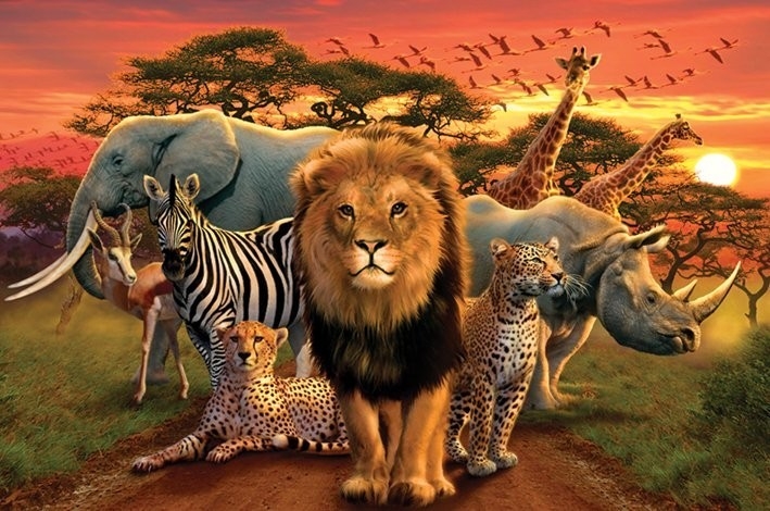 Posters Plakát, Obraz - African kingdom - africké království, (91,5 x 61 cm)