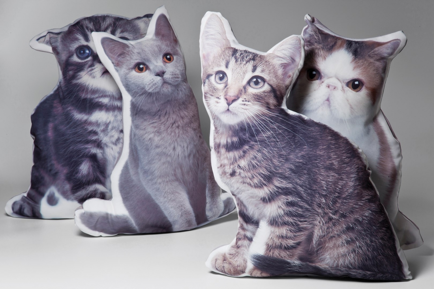 Polštář Pussy Cat Assorted