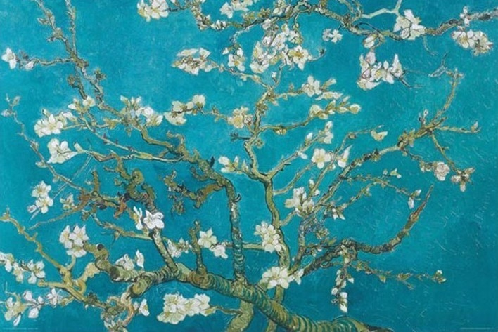 Posters Plakát, Obraz - Vincent van Gogh - Almond Blossom Aan Remy 1890, (91,5 x 61 cm)