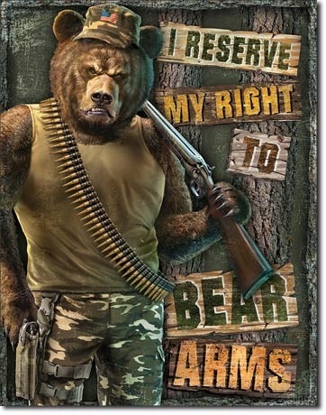 Posters Plechová cedule Right to Bear Arms, (30 x 42 cm)
