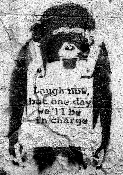 Posters Plakát, Obraz - Banksy street art - chimp, (42 x 59 cm)