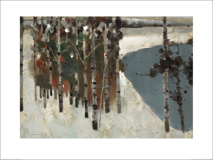 Posters Obraz, Reprodukce - Law Wai Hin - Birch Trees, (80 x 60 cm)