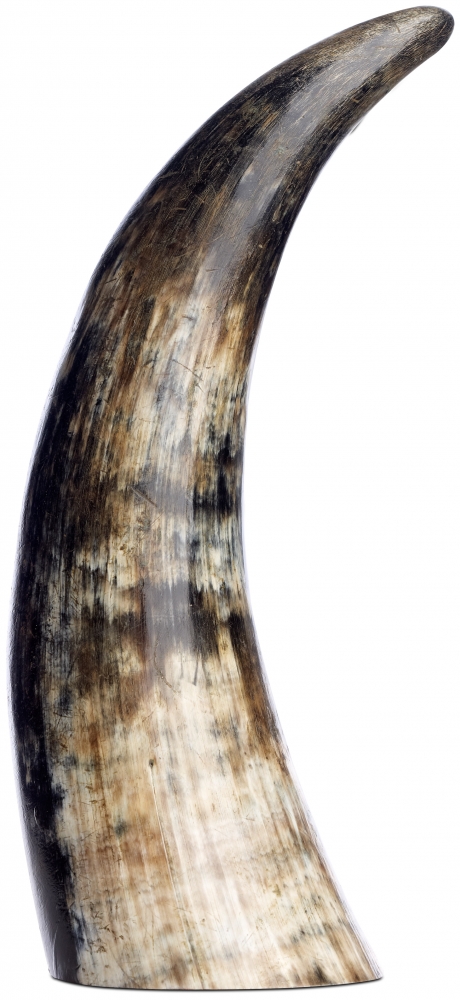 Přírodní rohy