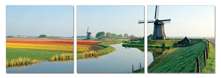 Posters Obraz na zeď - Holandsko - mlýny s polem tulipánů, (120 x 40 cm)