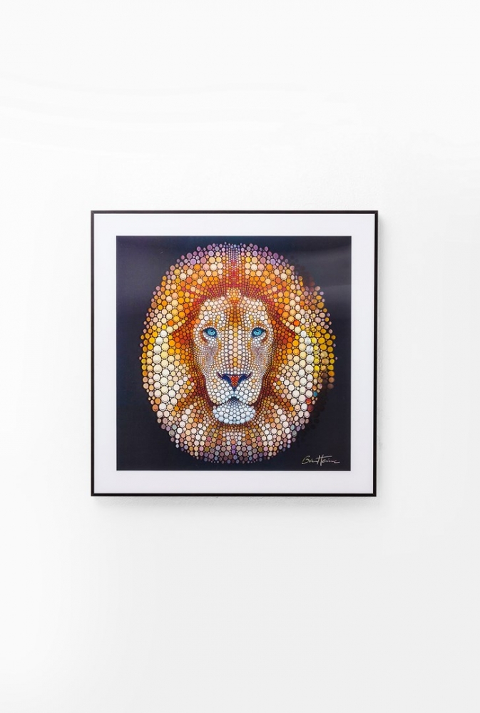 Picture 3D Lion Head 60x60cm