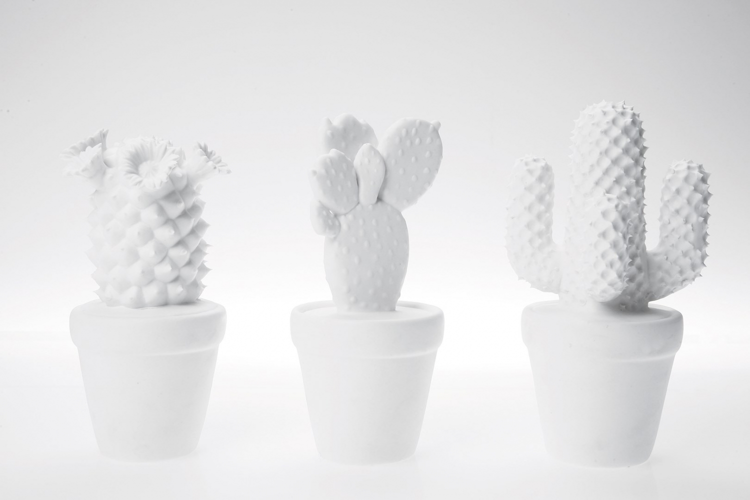 Deco Cactus White Assorted