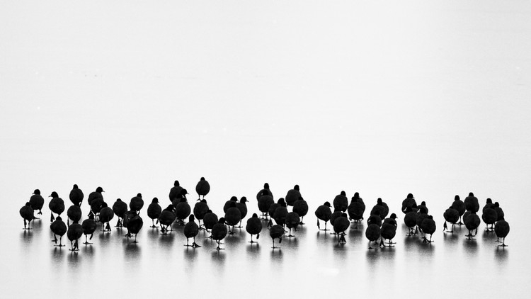 Posters Umělecké fotografie Untitled, Yordan Vasilev