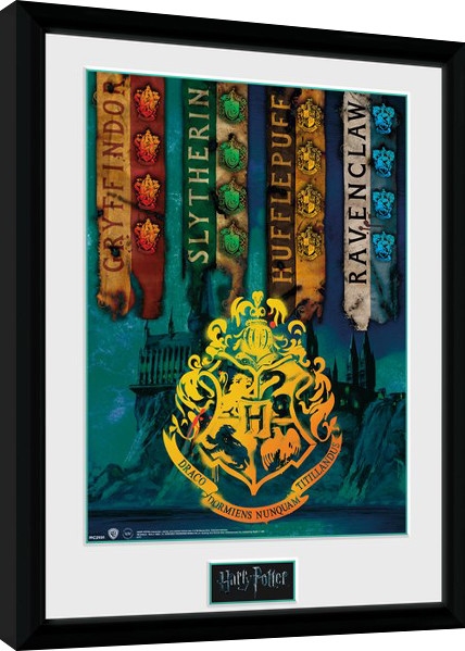 Posters Obraz na zeď - Harry Potter - House Flags