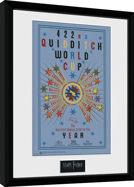 Posters Obraz na zeď - Harry Potter - Quidditch World Cup 2