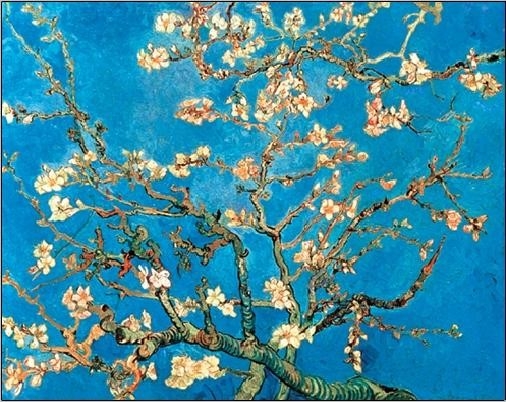 Posters Obraz, Reprodukce - Mandlovník - Květoucí větve mandlovníku, 1890, Vincent van Gogh,...