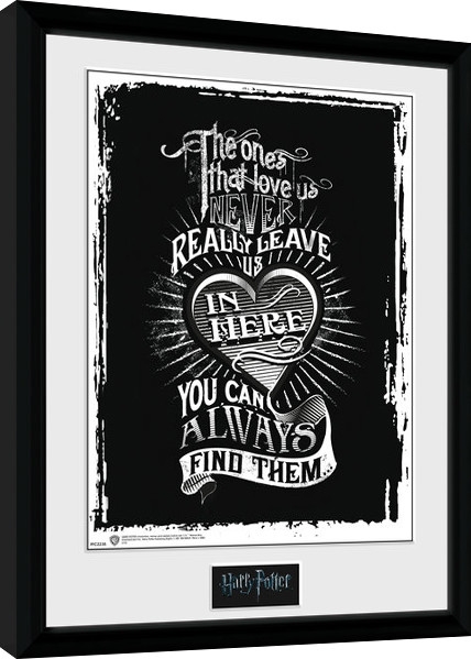 Posters Obraz na zeď - Harry Potter - Love