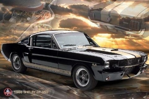 Posters Plakát, Obraz - Ford Shelby - Mustang 66 gt350, (91,5 x 61 cm)