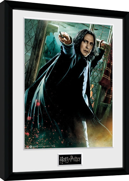 Posters Obraz na zeď - Harry Potter - Snape Wand