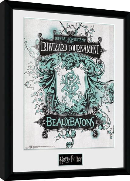 Posters Obraz na zeď - Harry Potter - Triwizard Beaux Batons