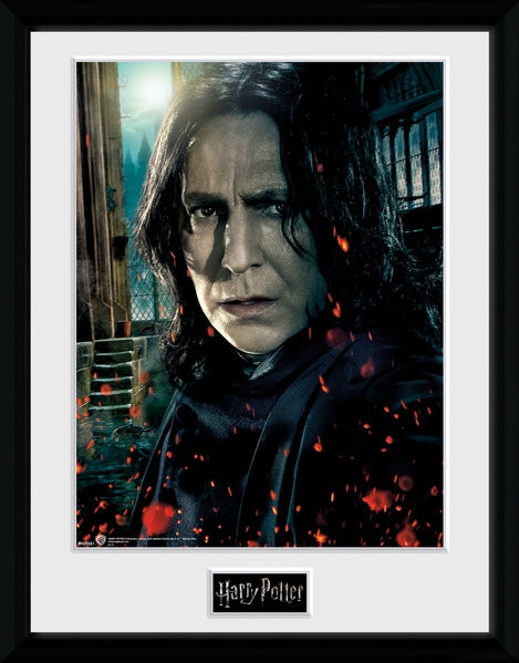 Posters Obraz na zeď - Harry Potter - Snape