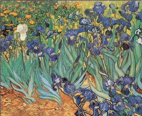 Posters Obraz, Reprodukce - Kosatce, 1889, Vincent van Gogh, (120 x 90 cm)