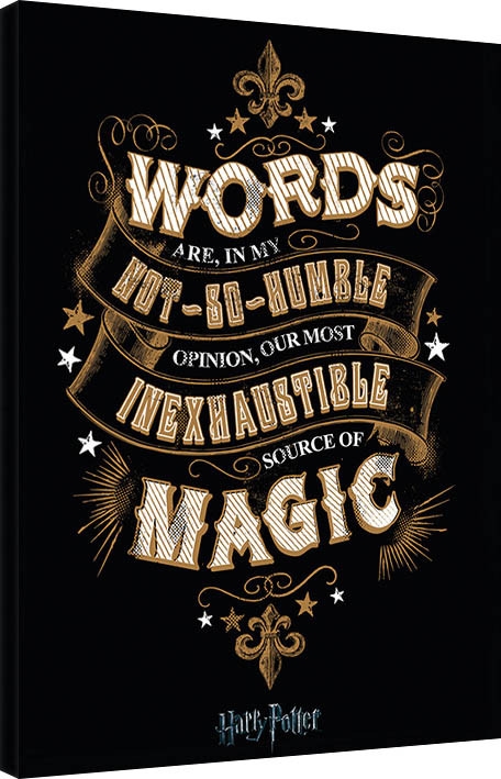Posters Obraz na plátně Harry Potter - Words, (60 x 80 cm)