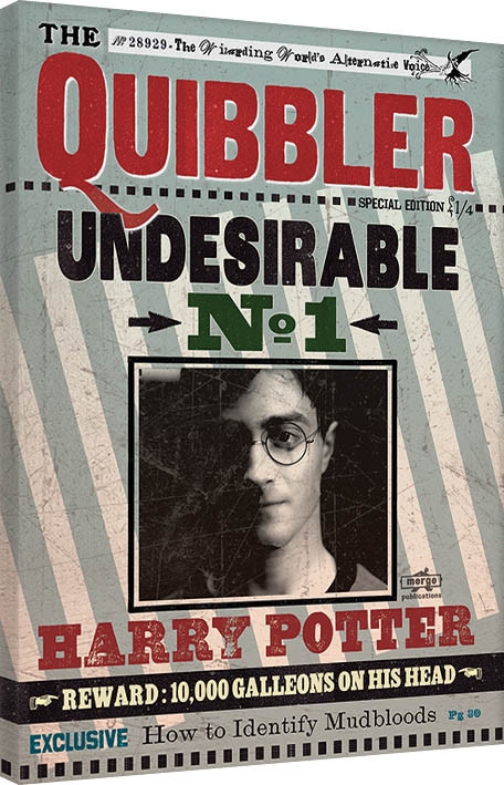 Posters Obraz na plátně Harry Potter - Quibbler, (60 x 80 cm)