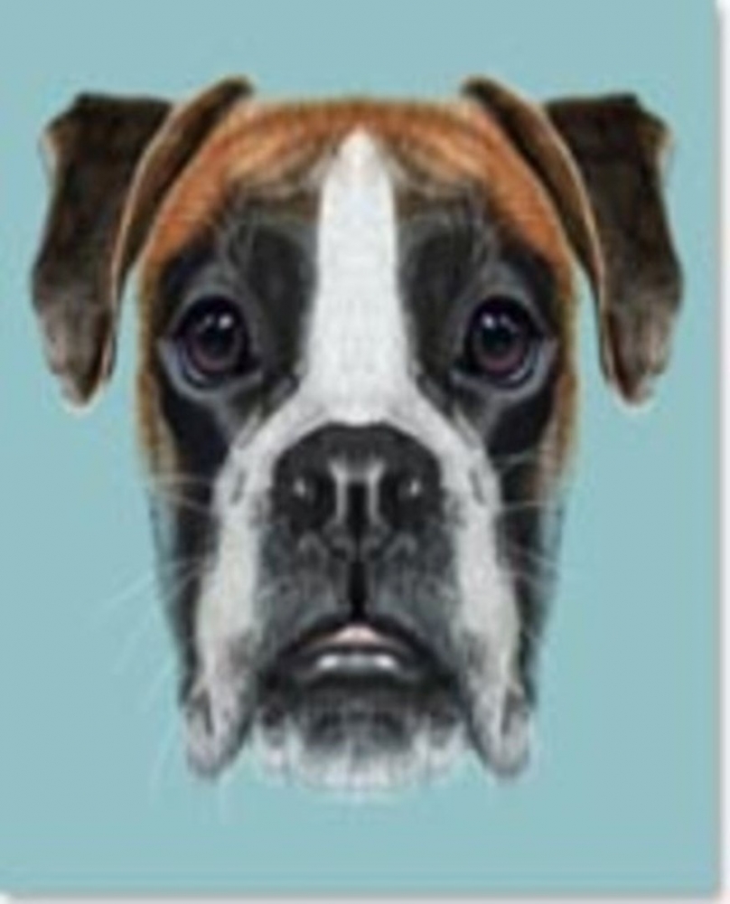 Obraz na skle Dog Face 60×60 cm