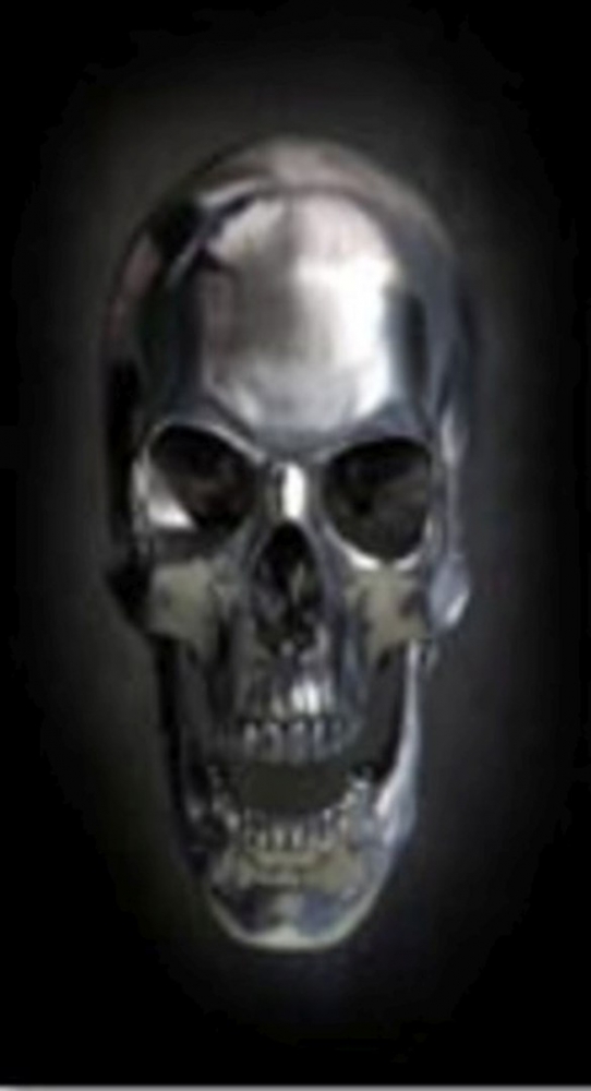 Obraz na skle Skull 120×80 cm