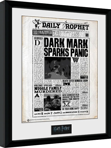 Posters Obraz na zeď - Harry Potter - Daily Prophet