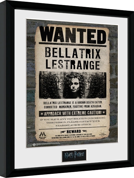 Posters Obraz na zeď - Harry Potter - Bellatrix