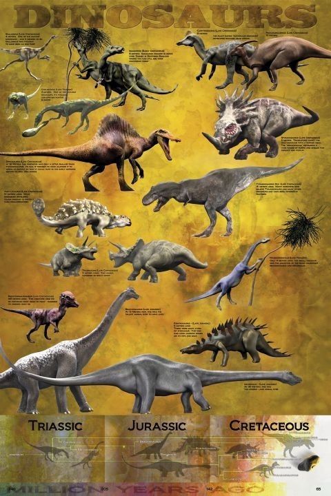 Posters Plakát, Obraz - Dinosaurus - chart, (61 x 91,5 cm)