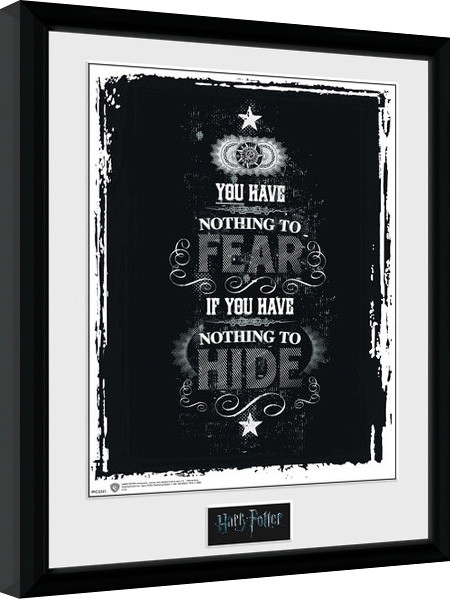 Posters Obraz na zeď - Harry Potter - Fear