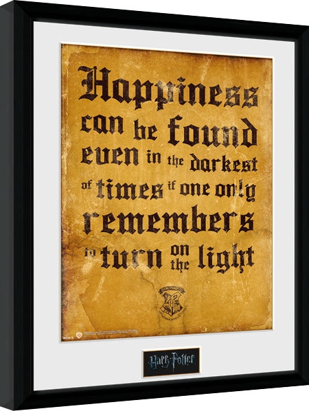 Posters Obraz na zeď - Harry Potter - Happiness Can Be