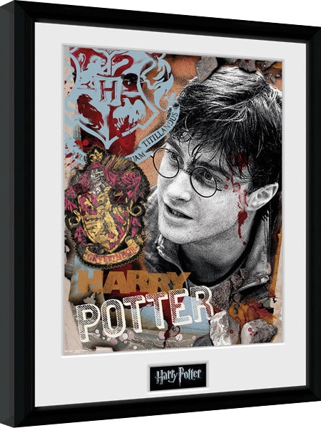 Posters Obraz na zeď - Harry Potter - Harry Potter