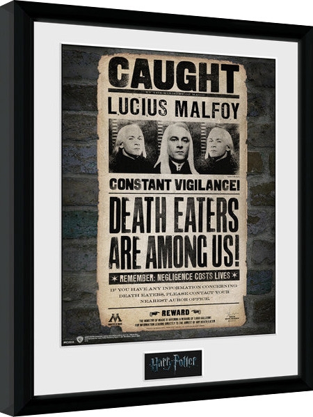 Posters Obraz na zeď - Harry Potter - Lucius