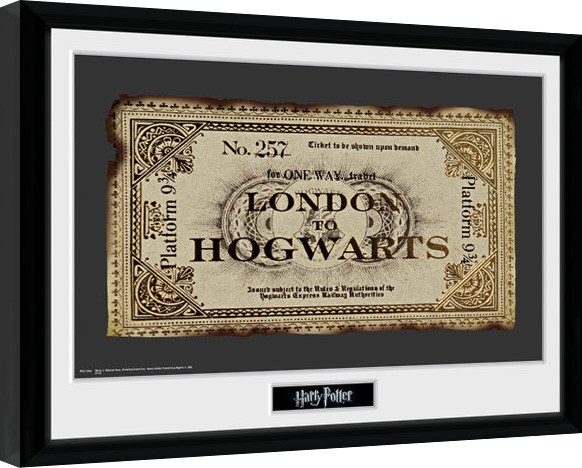 Posters Obraz na zeď - Harry Potter - Ticket