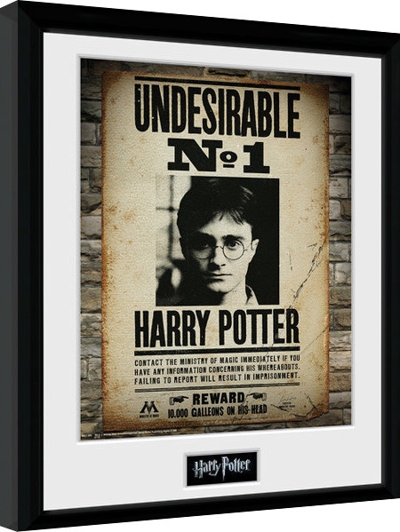 Posters Obraz na zeď - Harry Potter - Undesirable No 1