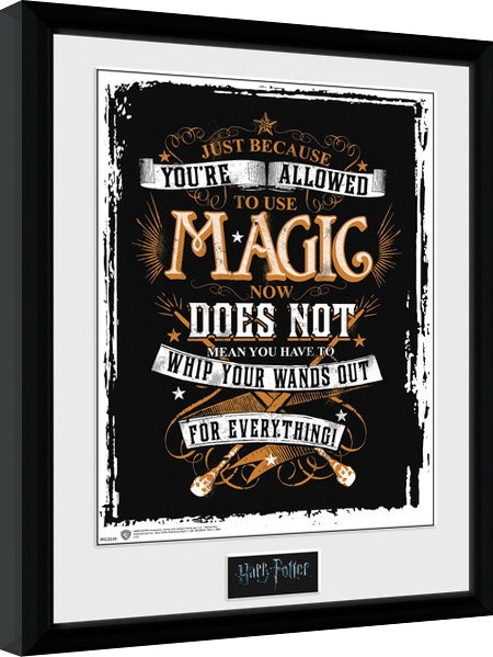 Posters Obraz na zeď - Harry Potter - Wands Out