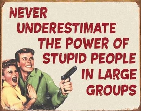 Posters Plechová cedule EPHEMERA - Stupid People, (40 x 31,5 cm)