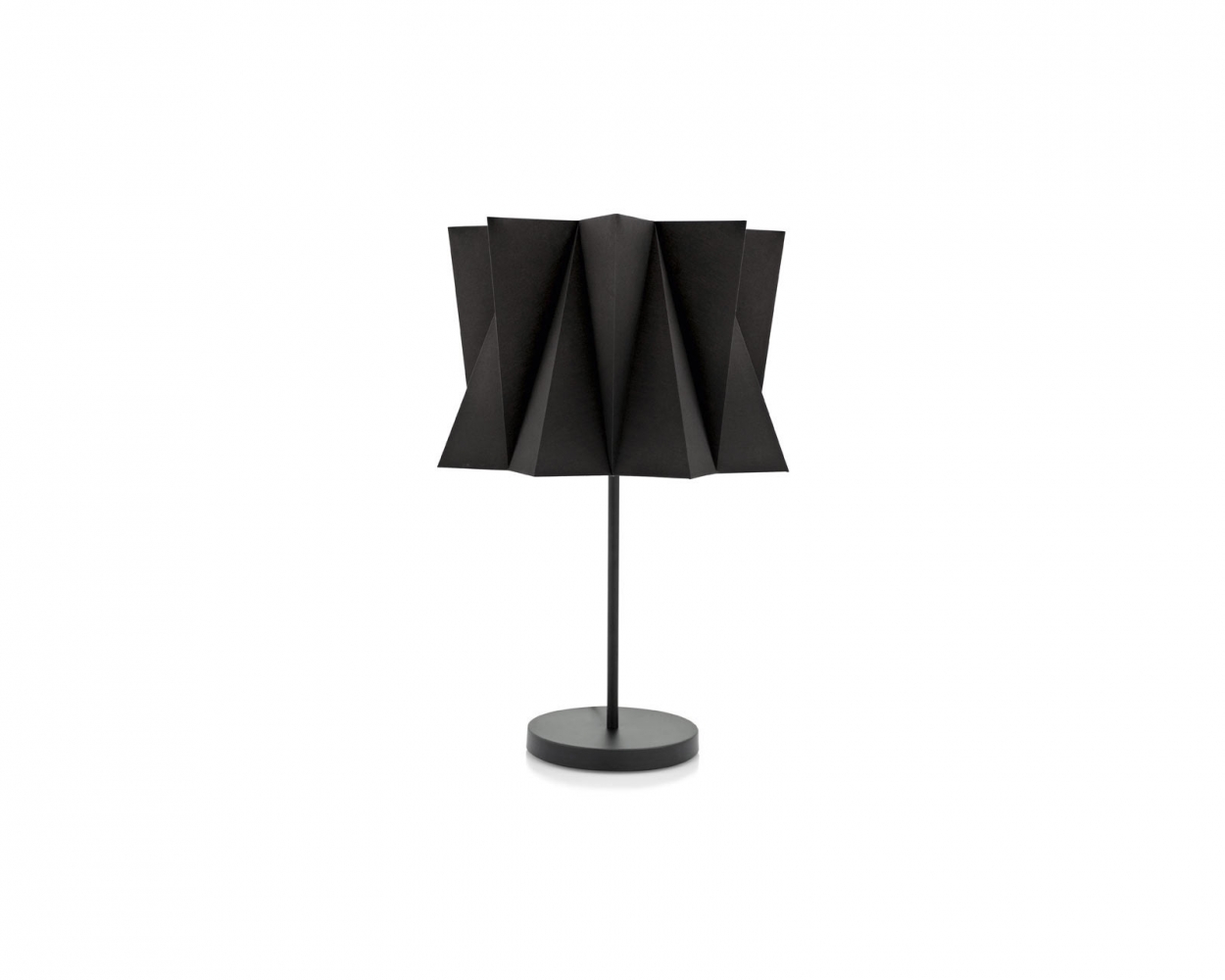 Andromeda lampa členitá