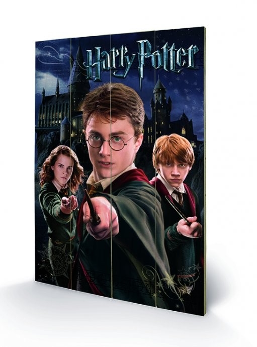 Posters Dřevěný obraz Harry Potter – Harry, Ron, Hermione, (40 x 59 cm)