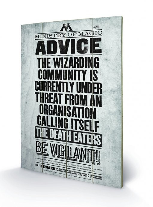 Posters Dřevěný obraz Harry Potter - Be Vigilant, (40 x 59 cm)