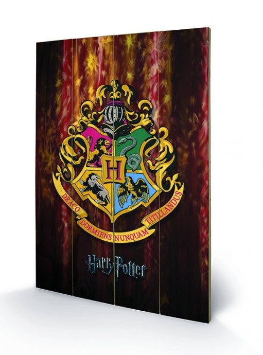 Posters Dřevěný obraz Harry Potter - Bradavice, (40 x 59 cm)