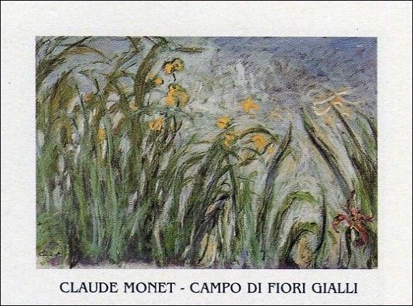 Posters Reprodukce Claude Monet - Žluté a rúžové kosatce , (30 x 24 cm)
