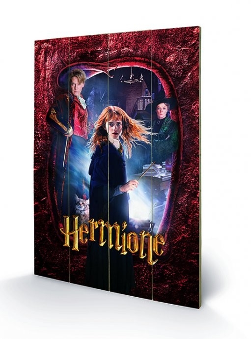 Posters Dřevěný obraz Harry Potter - Hermione, (40 x 59 cm)