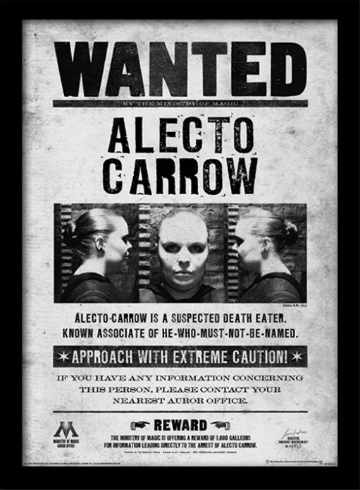 Posters Obraz na zeď - Harry Potter - Alecto Wanted